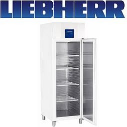 Liebherr GGPv 6520 Profiline Umluft-Tiefkühlschrank GN 2/1 Weiss/Edelstahl - 597 Liter