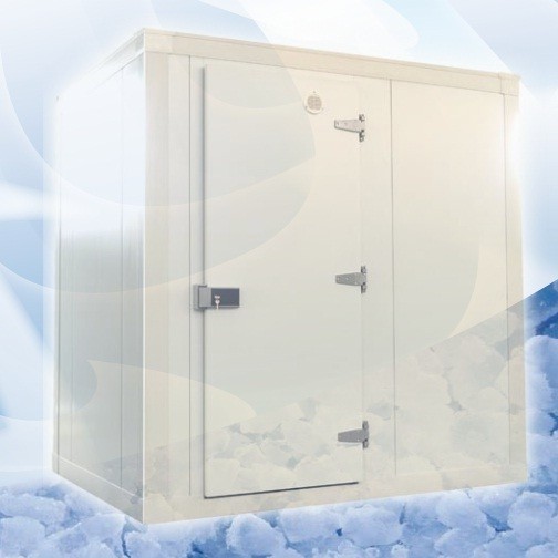 Energiespar-Kühlzelle mit frei wählbaren Abmessungen und 10 cm Wandstärke